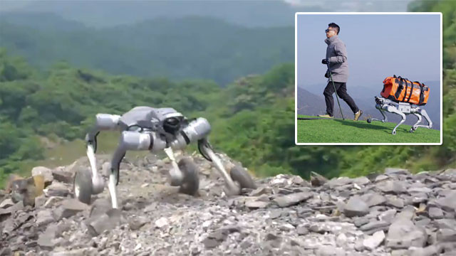 Unitree AS2 Robot Dog carries luggage and climbs mountains during trips