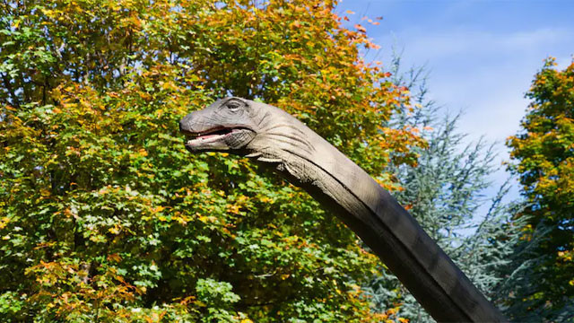 210 Million Year Old Dinosaur in Zimbabwe New Species Discovered