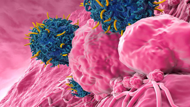 World first breakthrough treatment for cancer tumors