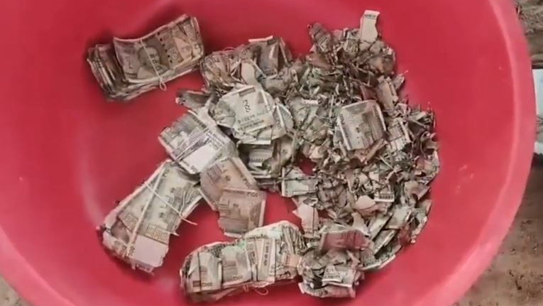 Rajasthan Farmer buried 5 lakh rupees in field shock after taking it out a year later