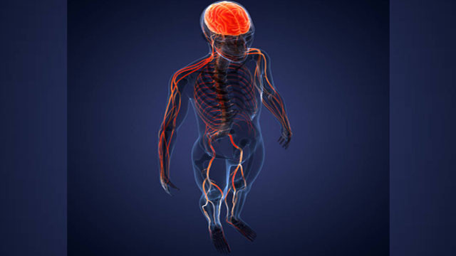 Human Lifespan can reach 200 years according to new scientific theory