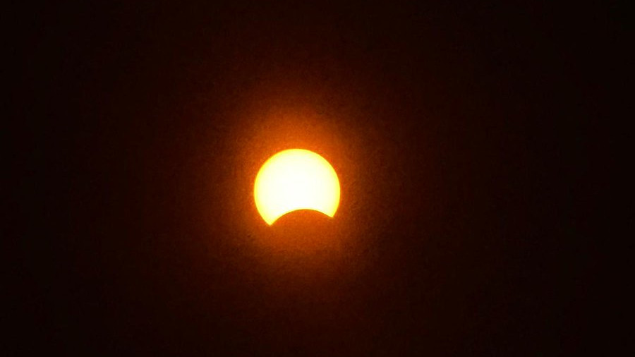 Solar Eclipse Day turns into night strange behavior of animals and birds
