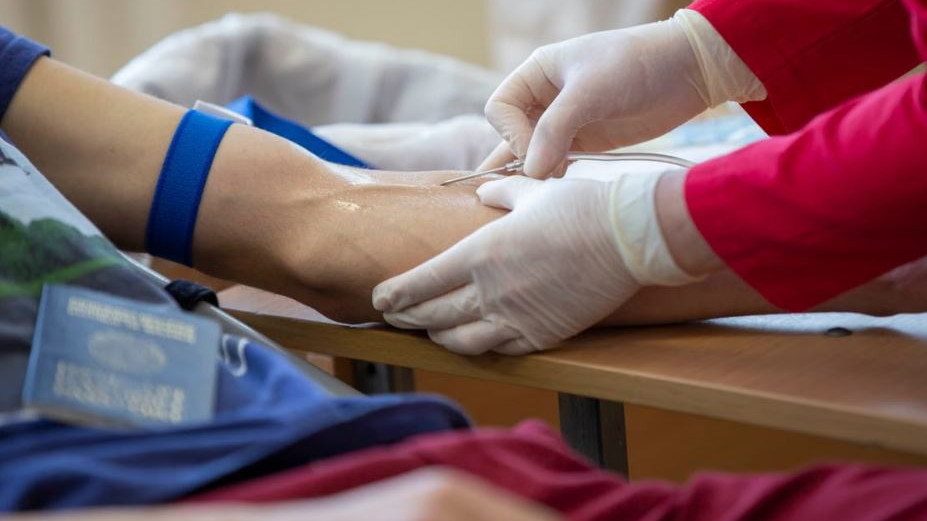 Holly artificial kidney to replace dialysis and purify blood inside the body