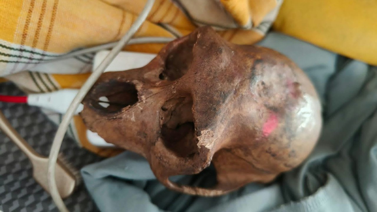 Delhi Airport Commotion Monkey Skull Found in Hyderabad Passenger Bag