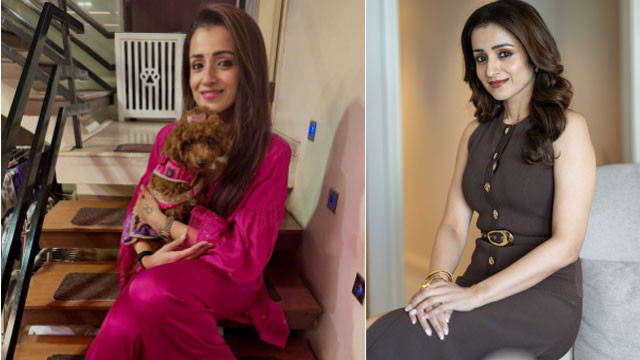 Trisha Krishnan net worth and luxury houses in Chennai and Hyderabad