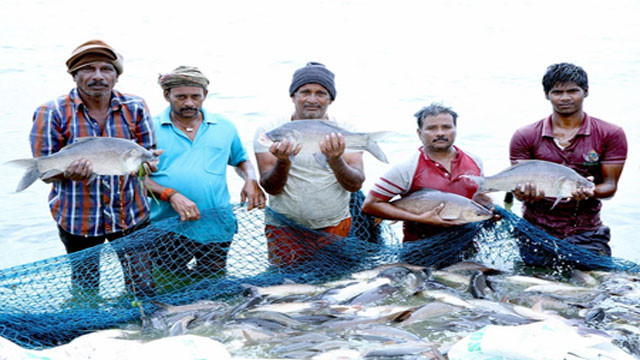 Indian Fisheries Sector boosts Blue Economy and provides employment to 3 crore people