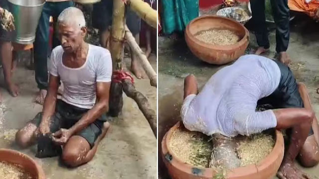 Strange belief in Uttar Pradesh 70 year old man eats grass claiming Mahishasura possession