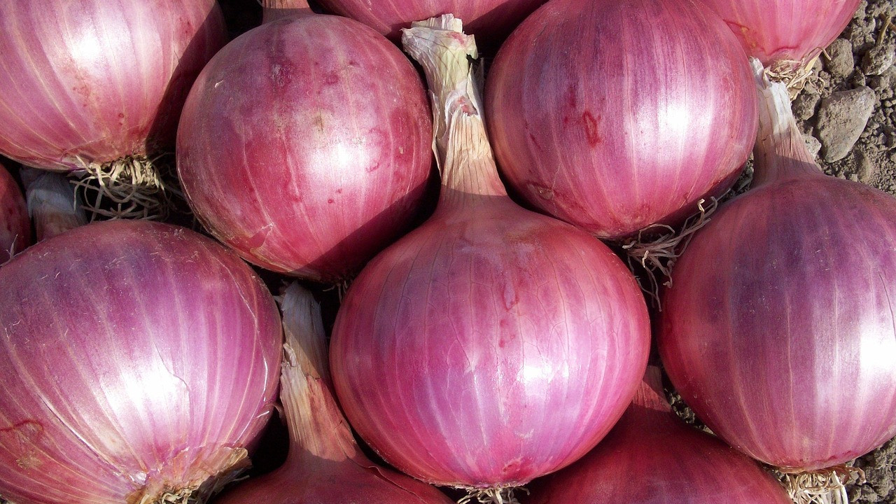 Rising onion prices Central Government decides to run Kanda Express trains