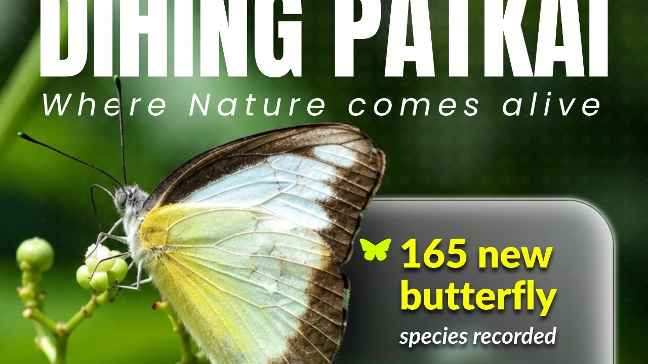 Himanta Biswa Sarma highlights 165 butterfly species and biodiversity in Dehing Patkai