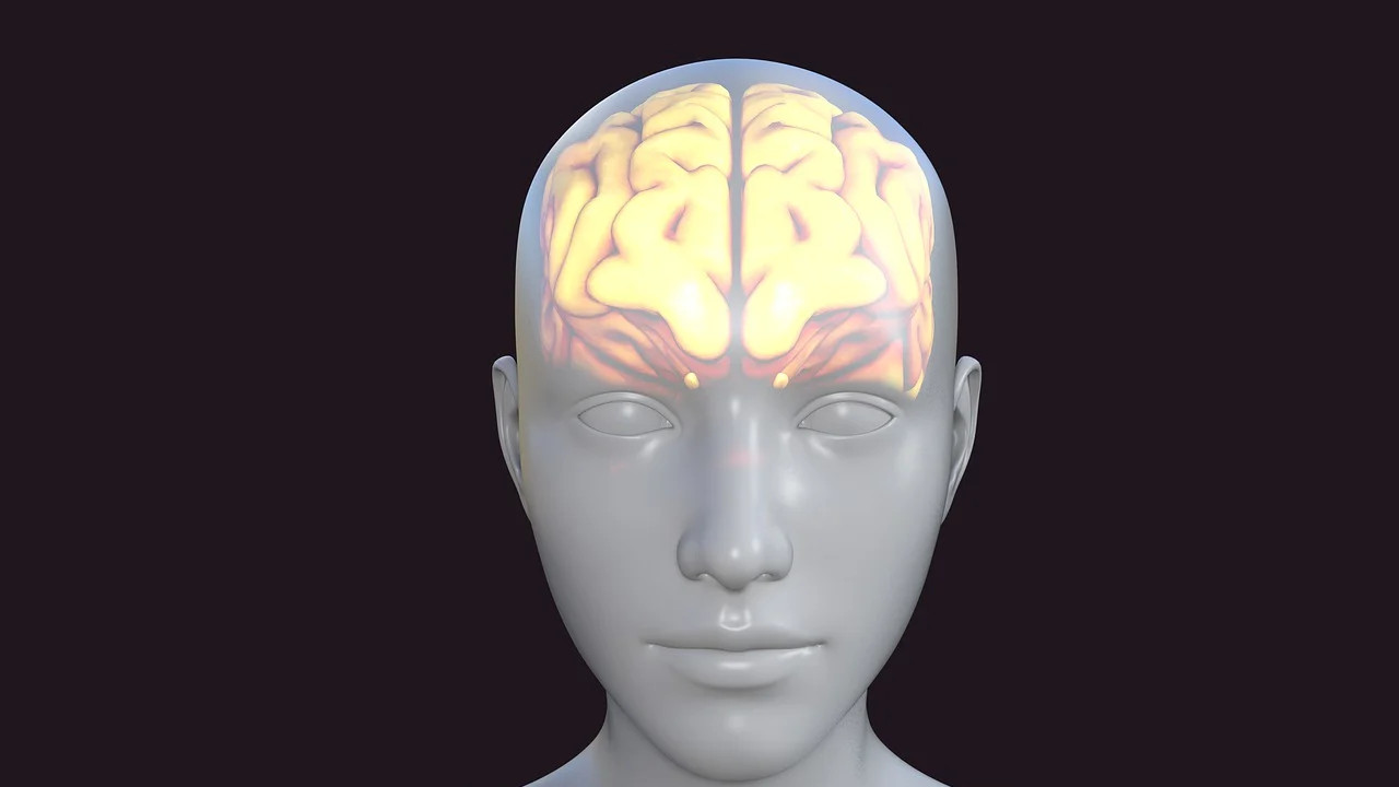BrainCAB Scientists Discover New Way to Deliver Drugs to the Brain