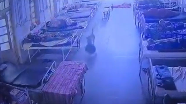 Strange theft in hospital Dog steals bag with 4 lakh worth jewelry viral video