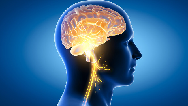 Want your brain to work sharply Include these 5 foods in your daily diet
