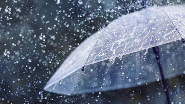 Telangana Active Monsoons and Warnings for Several Districts