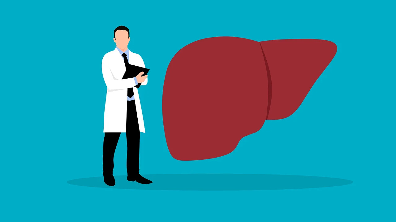 Why liver does not recover after quitting alcohol scientists reveal key secret