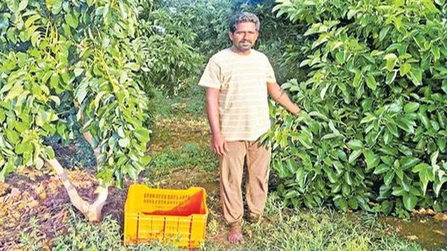 PM Modi praises Kadapa farmer Varada Reddy in Mann Ki Baat