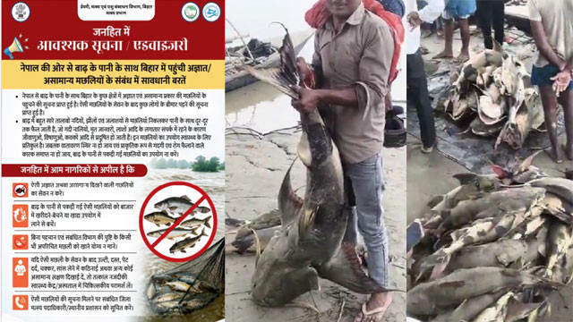 Bihar Government warns state citizens not to eat those fish