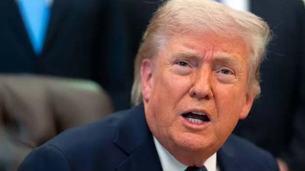 US court stays Donald Trump orders on birthright citizenship