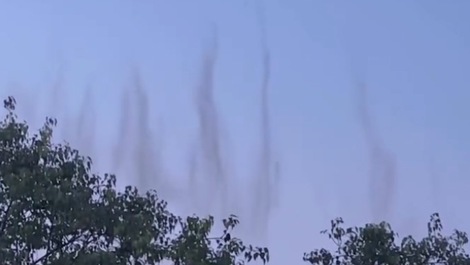 Hyderabad viral video shows massive mosquito swarm looking like smoke