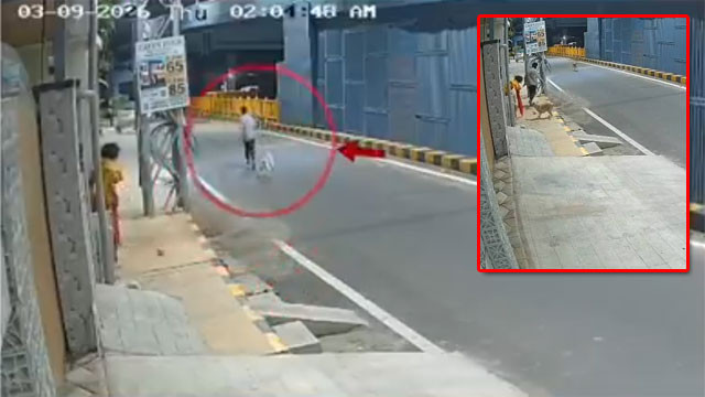 Stray dog saves woman from attempted sexual assault in Coimbatore shocking CCTV video goes viral