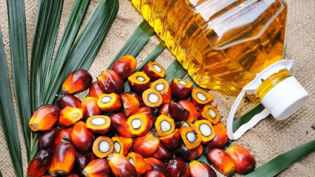 Palm Oil and heart health risks what experts really say