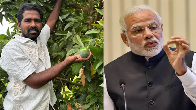 PM Modi praises Kadapa farmer Avocado cultivation success story of young farmer Varadaraj