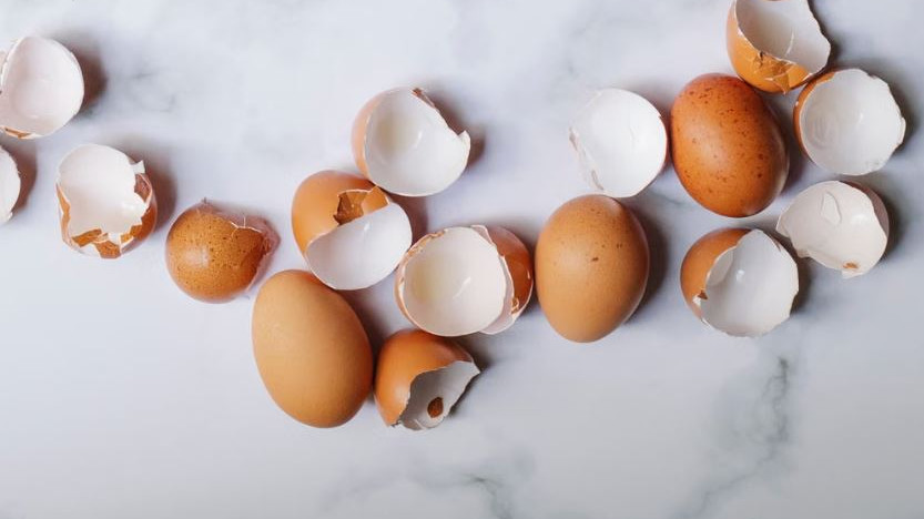 Are you throwing eggshells in the trash if you know these uses you will never throw them away