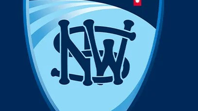 NSW hits out at BBL privatisation plan, says it 'threatens' the sport