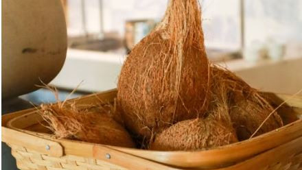 Why you should not carry a coconut in a train here is the real reason