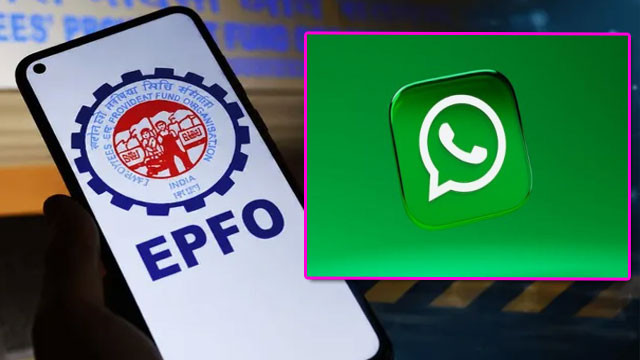 EPFO launches new WhatsApp channel for PF updates for account holders