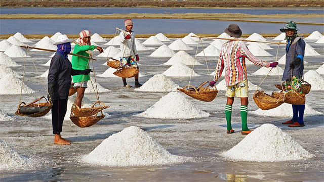 Salt production crisis in India and the reasons behind it