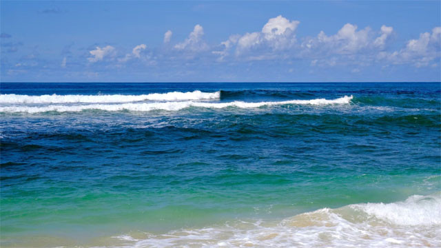 Sea and Ocean are they both same here is the real difference