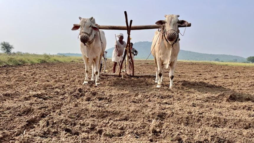 Alert for Telangana farmers complete this task by September 30