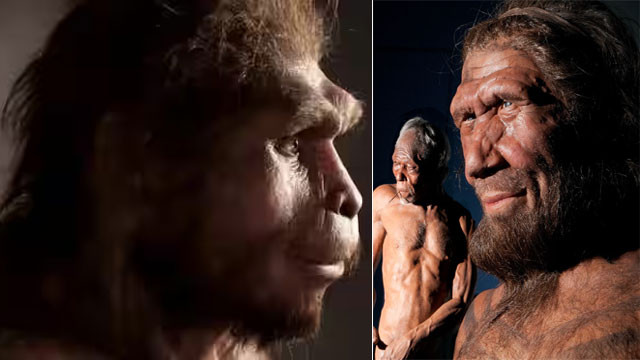Modern humans alone on Earth for 40000 years what happened to other human species