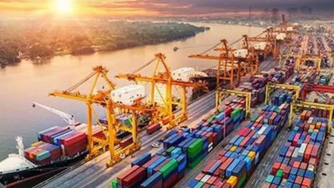 India exports to China surge with 40 percent growth