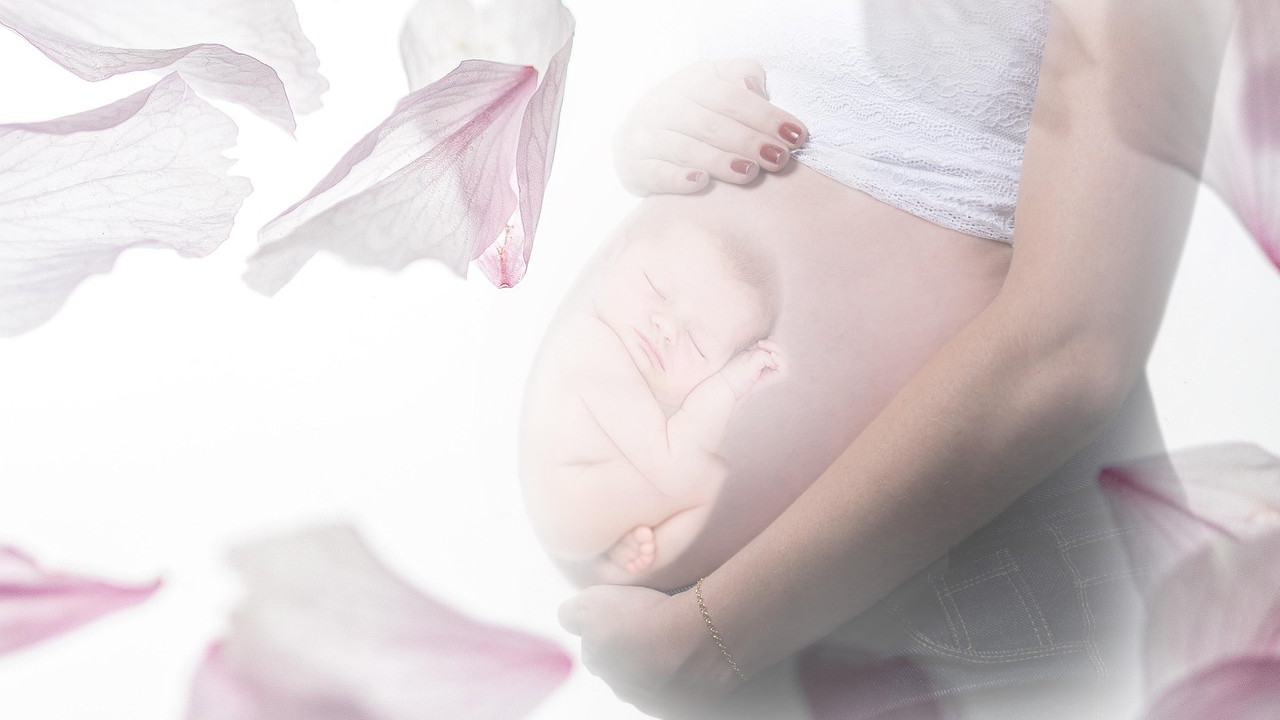 Rete Ovarii the organ forgotten for a hundred years plays key role in womens health