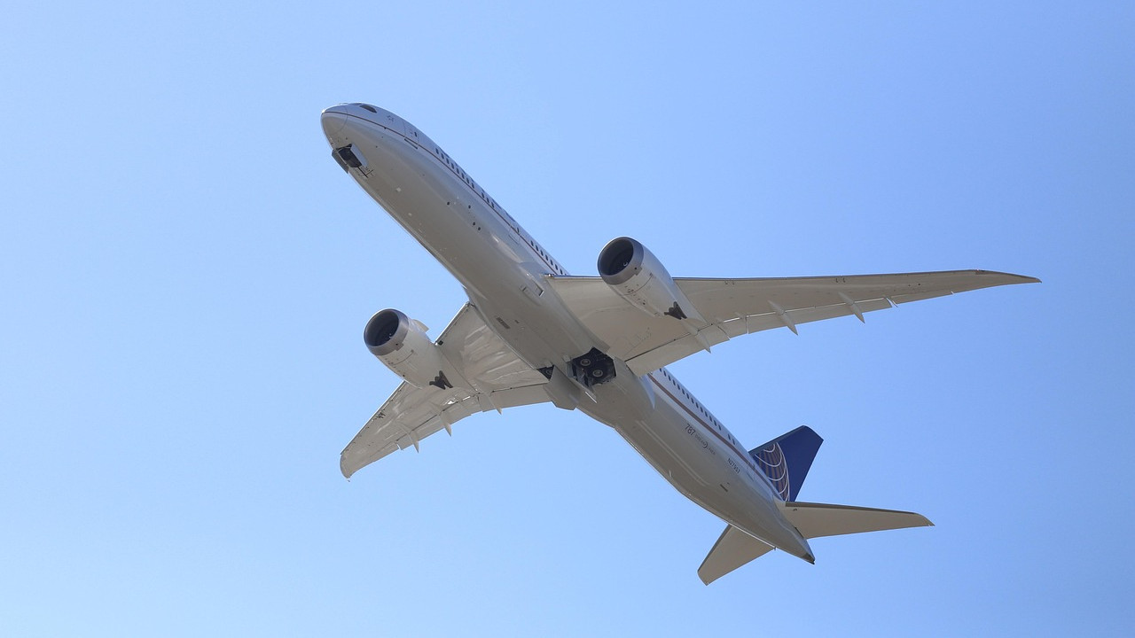 Boeing 737 Max software glitches impact 96 aircraft in India