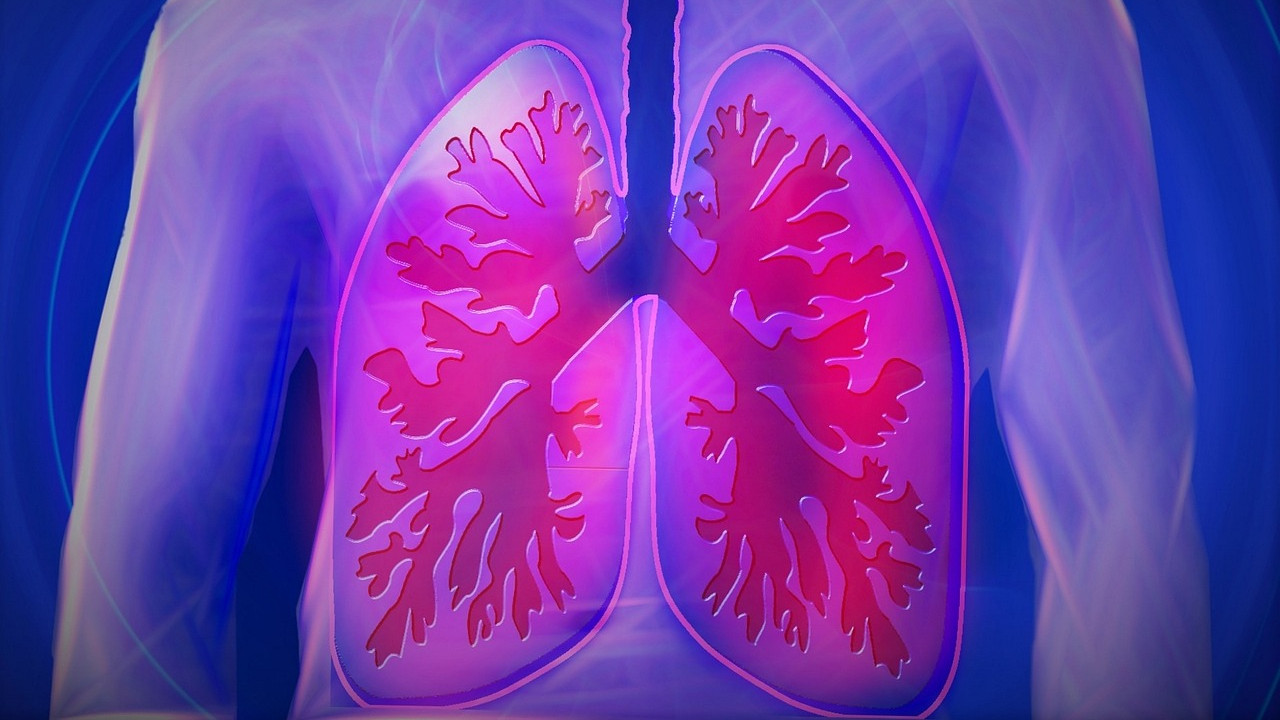 Lung health is in your hands follow these 5 tips for healthy breathing