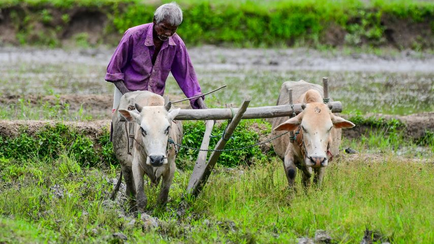 Good news for farmers Central Government increases Rabi crops MSP