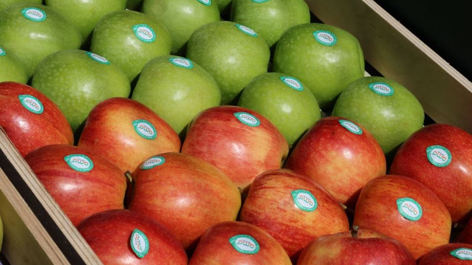 Stickers on fruits It is dangerous if you do not do this before eating