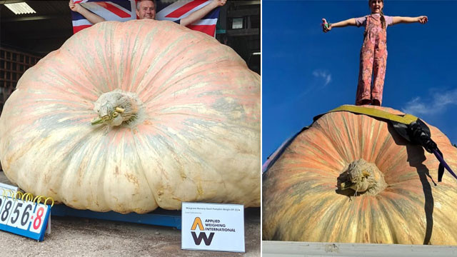 Pumpkin heavier than a rhinoceros sets new world record with 1295 kg