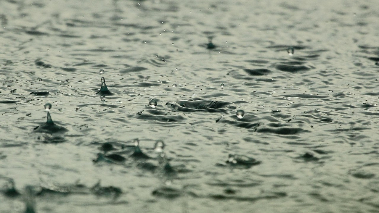 Andhra Pradesh Rain Forecast Rain for Next Three Days