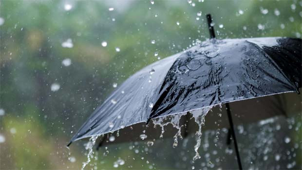 Rain forecast for several districts in AP where are they