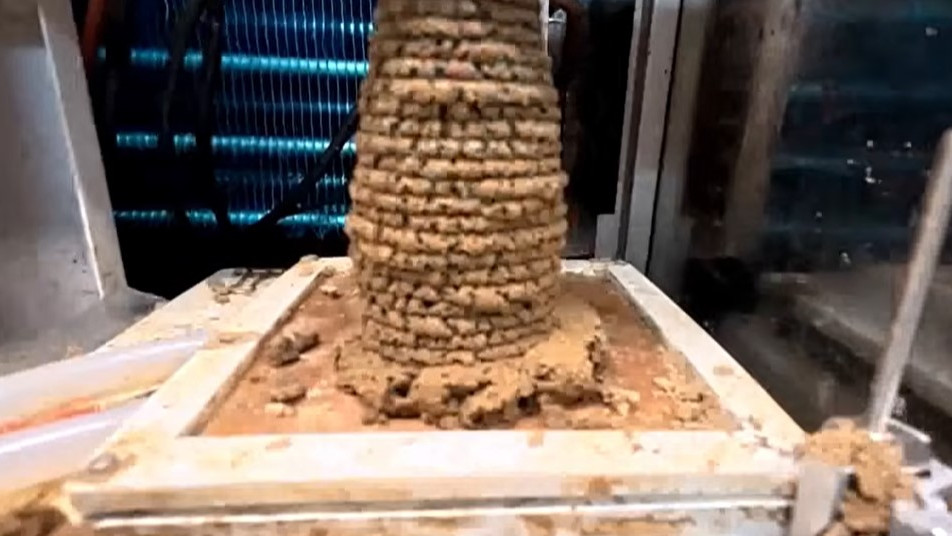 Mars house construction using 3D printing and living bricks