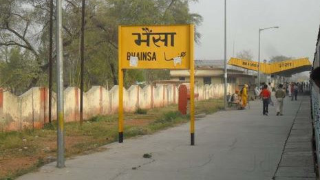 Bad Luck Pig Buffalo You Cannot Stop Laughing Hearing These 8 Village Names In UP