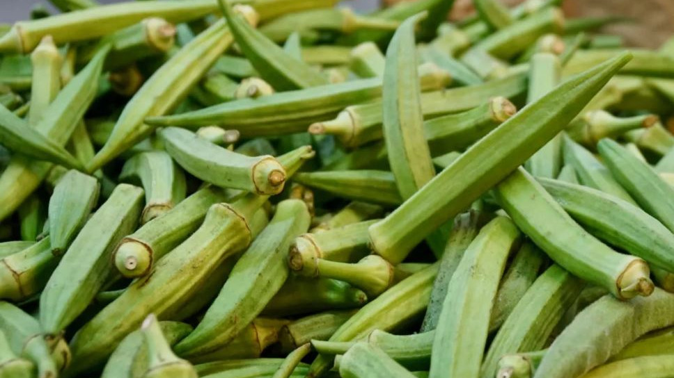 Okra slime for cholesterol reduction expert insights and health benefits