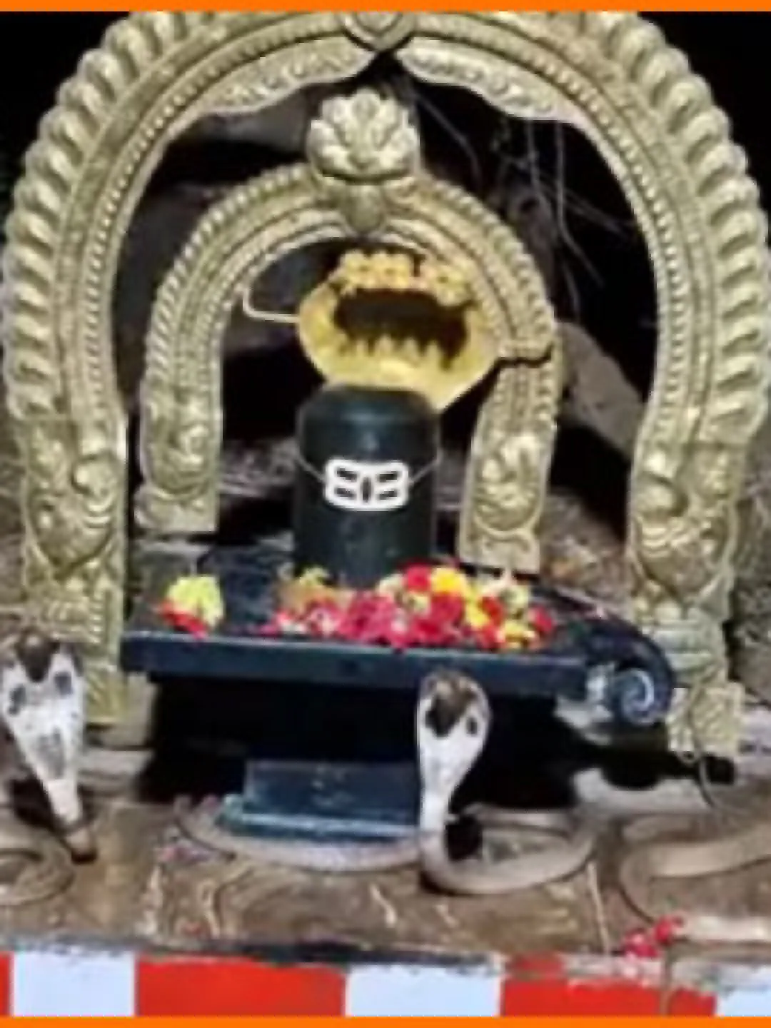 నెల్లూరు జిల్లాలో అద్భుత సన్నివేశం.. శివలింగం చుట్టూ మూడు నాగుపాముల ప్ర‌ద‌క్షిణ‌.. ఇదిగో వీడియో!