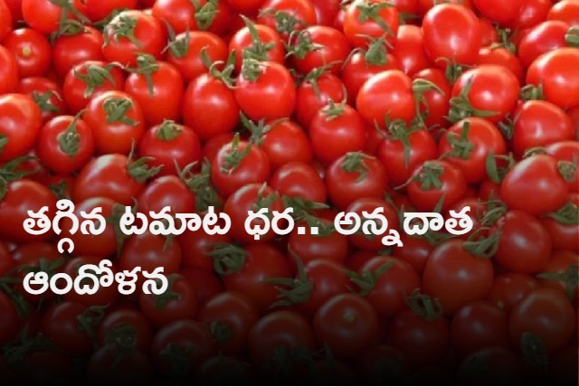 Tomato prices have dropped in Andhra Pradesh and Telangana