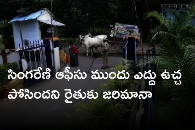 Farmer fined for his Ox urinate in front of Singareni company