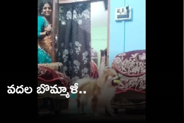 Woman plays hide and seek with dog in adorable viral video Harsh Goenka loves it