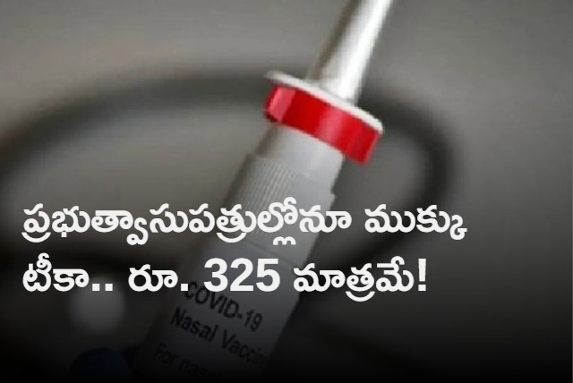 Bharat Biotechs intranasal vaccine to cost Rs 325 for government supplies